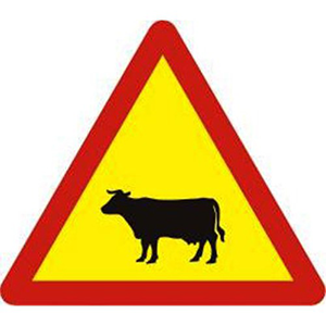 Biển báo 230 - Gia súc