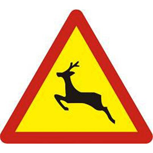 Biển báo 231 - Thú rừng vượt qua đường