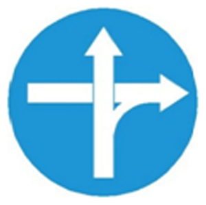 Biển báo 308b - Tuyến đường cầu vượt cắt qua